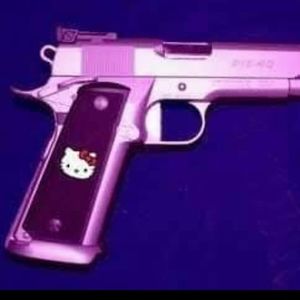 Meet your Posher, Dane